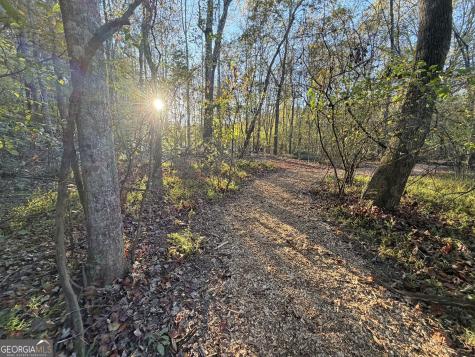 13C Rainey Valley Lane Morganton GA 30560