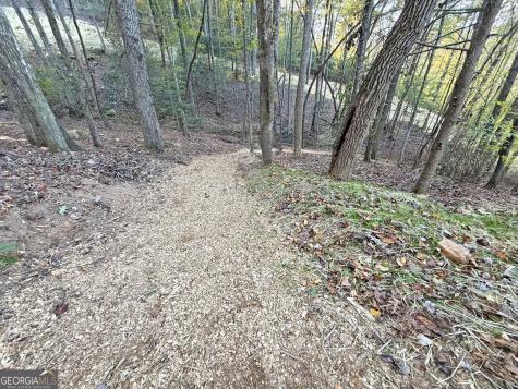 13C Rainey Valley Lane Morganton GA 30560