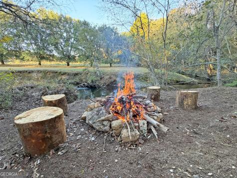 13C Rainey Valley Lane Morganton GA 30560