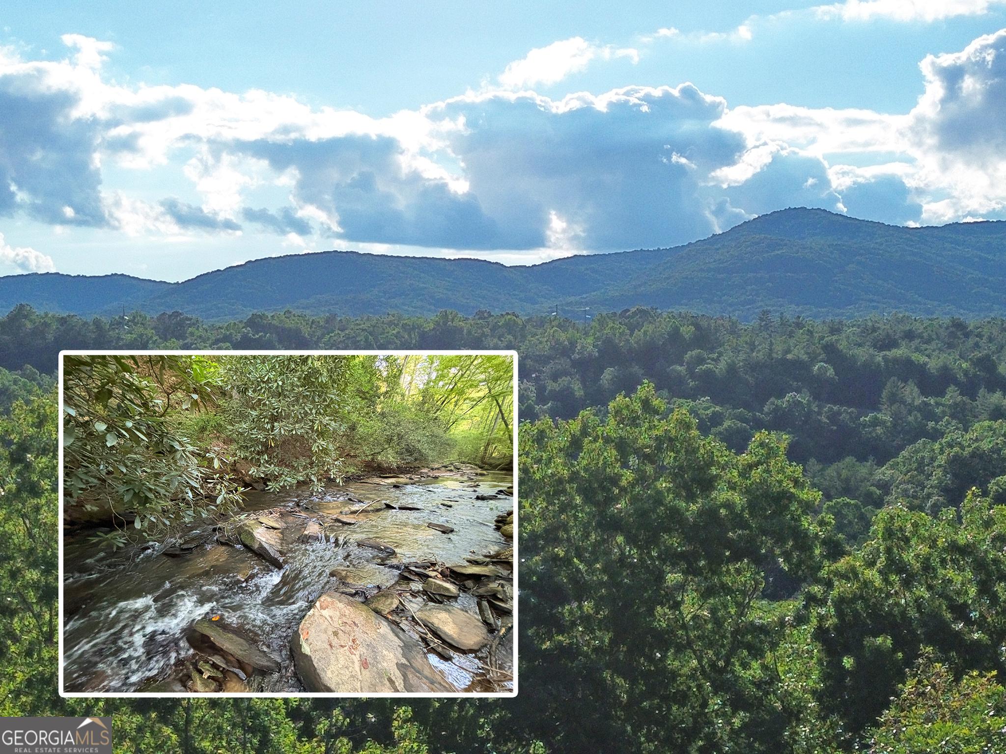 LOTS1920 Mt. Springer Road Ellijay GA 30540
