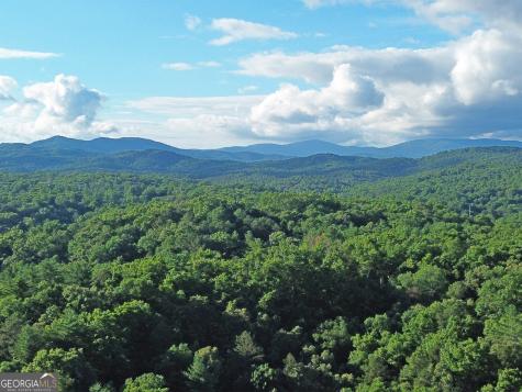 LOTS1920 Mt. Springer Road Ellijay GA 30540