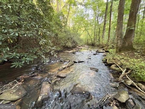 LOTS1920 Mt. Springer Road Ellijay GA 30540