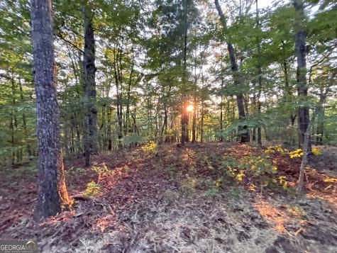 LOTS1920 Mt. Springer Road Ellijay GA 30540