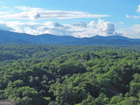 LOTS1920 Mt. Springer Road Ellijay GA 30540