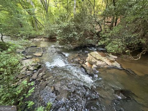 LOTS1920 Mt. Springer Road Ellijay GA 30540