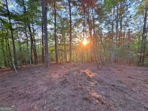LOTS1920 Mt. Springer Road Ellijay GA 30540