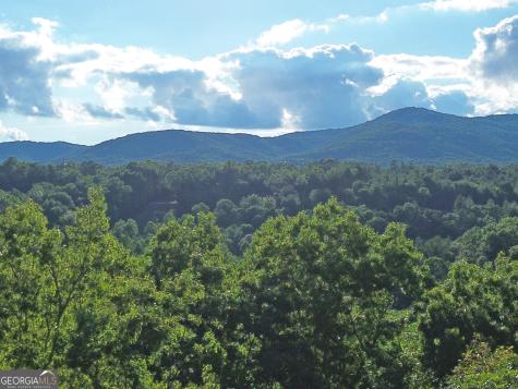 LOTS1920 Mt. Springer Road Ellijay GA 30540