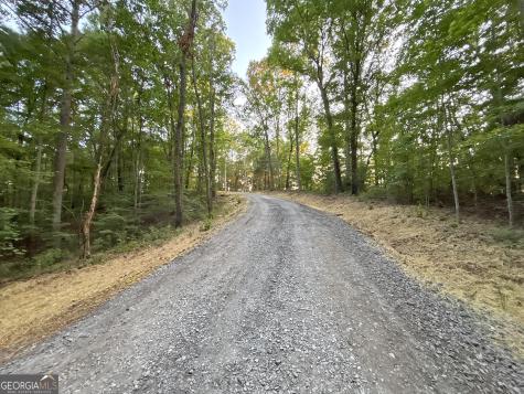 LOTS1920 Mt. Springer Road Ellijay GA 30540