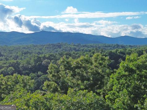 LOTS1920 Mt. Springer Road Ellijay GA 30540