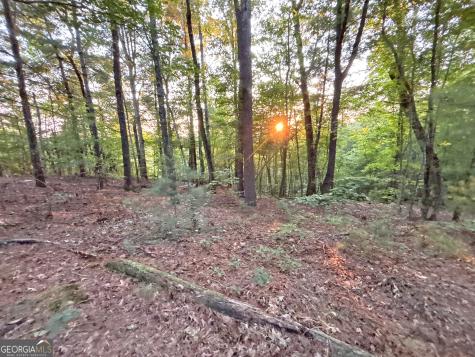 LOTS1920 Mt. Springer Road Ellijay GA 30540