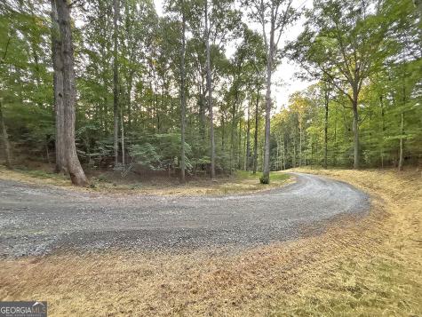 LOTS1920 Mt. Springer Road Ellijay GA 30540