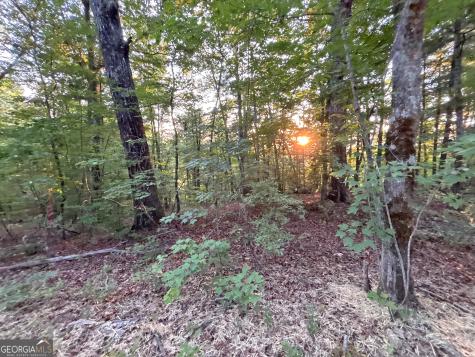 LOTS1920 Mt. Springer Road Ellijay GA 30540