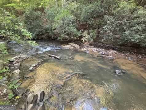 LOTS1920 Mt. Springer Road Ellijay GA 30540