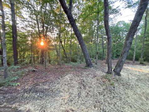 LOTS1920 Mt. Springer Road Ellijay GA 30540