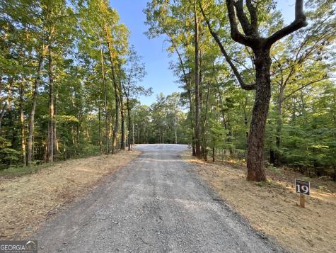 LOTS1920 Mt. Springer Road Ellijay GA 30540