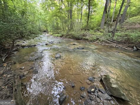 LOTS1920 Mt. Springer Road Ellijay GA 30540