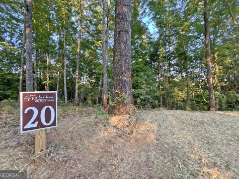 LOTS1920 Mt. Springer Road Ellijay GA 30540