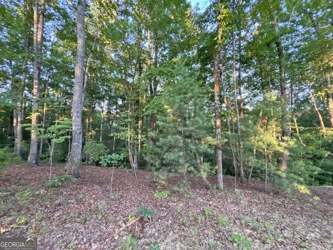LOTS1920 Mt. Springer Road Ellijay GA 30540