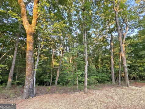 LOTS1920 Mt. Springer Road Ellijay GA 30540
