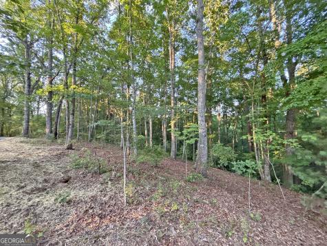 LOTS1920 Mt. Springer Road Ellijay GA 30540