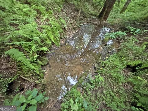 LOTS1920 Mt. Springer Road Ellijay GA 30540