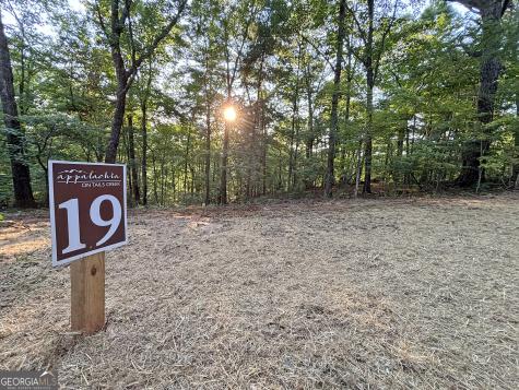 LOTS1920 Mt. Springer Road Ellijay GA 30540