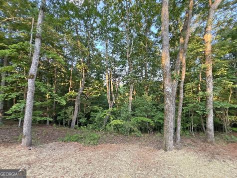 LOTS1920 Mt. Springer Road Ellijay GA 30540