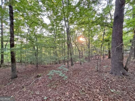 LOTS1920 Mt. Springer Road Ellijay GA 30540