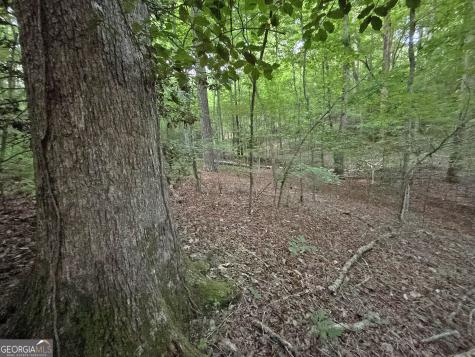 LOTS1920 Mt. Springer Road Ellijay GA 30540