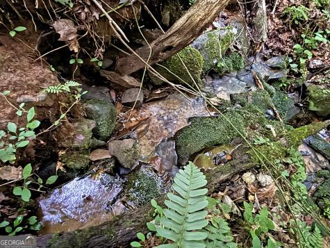 LOTS1920 Mt. Springer Road Ellijay GA 30540