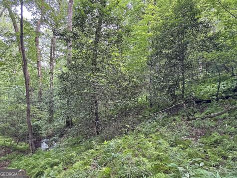 LOTS1920 Mt. Springer Road Ellijay GA 30540