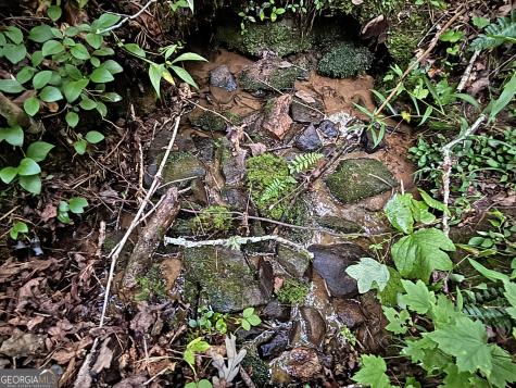LOTS1920 Mt. Springer Road Ellijay GA 30540