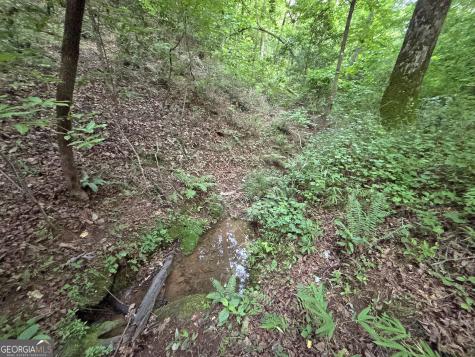 LOTS1920 Mt. Springer Road Ellijay GA 30540