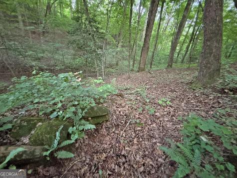 LOTS1920 Mt. Springer Road Ellijay GA 30540