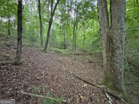 LOTS1920 Mt. Springer Road Ellijay GA 30540