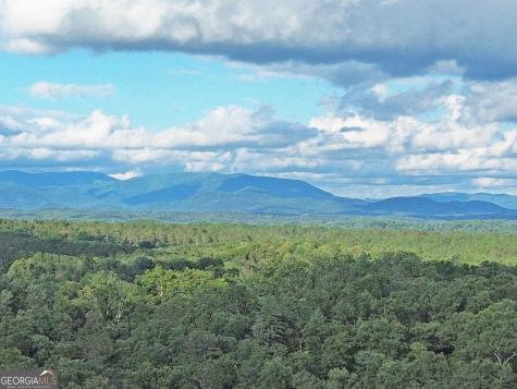 LOTS1920 Mt. Springer Road Ellijay GA 30540