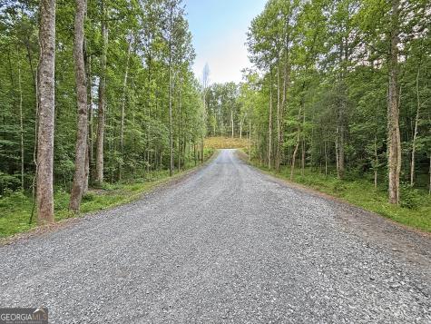LOTS1920 Mt. Springer Road Ellijay GA 30540