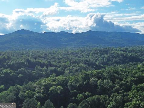 LOTS1920 Mt. Springer Road Ellijay GA 30540