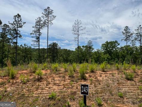 LOT 243 Spear Point Drive Talking Rock GA 30175