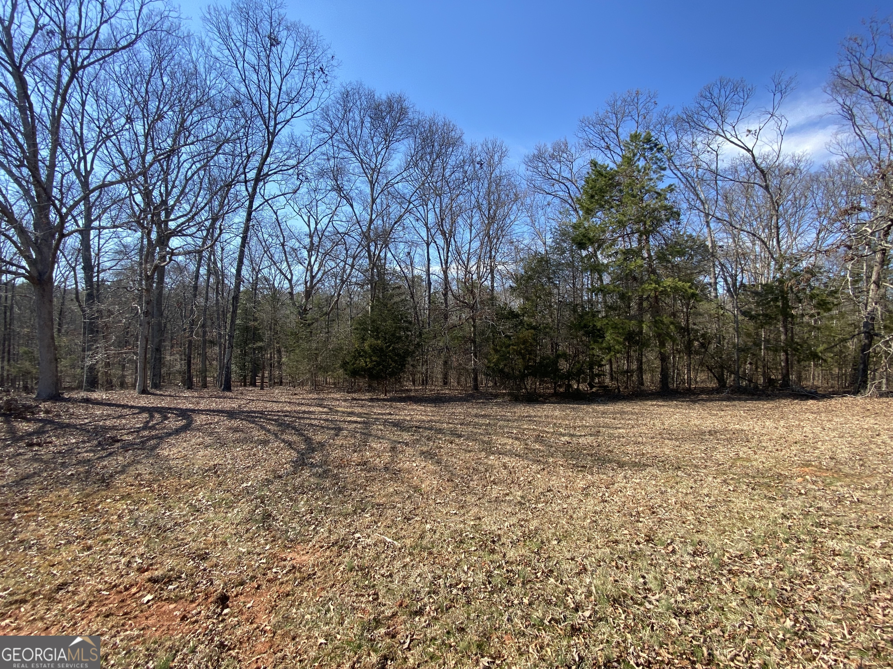 Lot 7 Majestic Shores Road Hartwell GA 30643