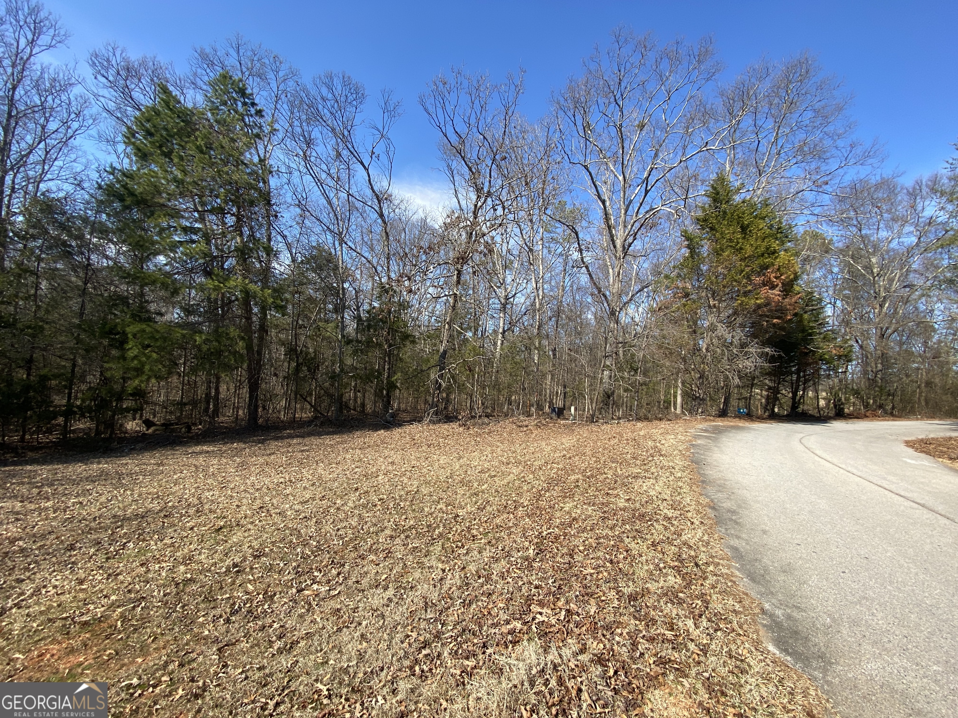 Lot 7 Majestic Shores Road Hartwell GA 30643