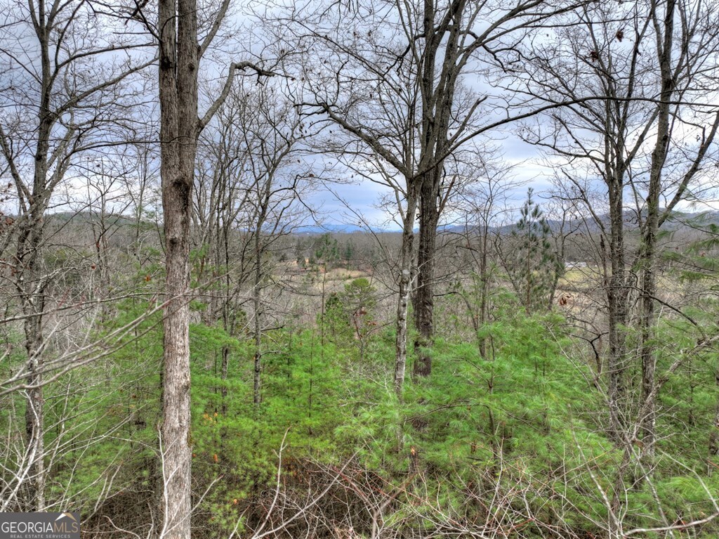 0 Sugar Creek Blue Ridge GA 30513