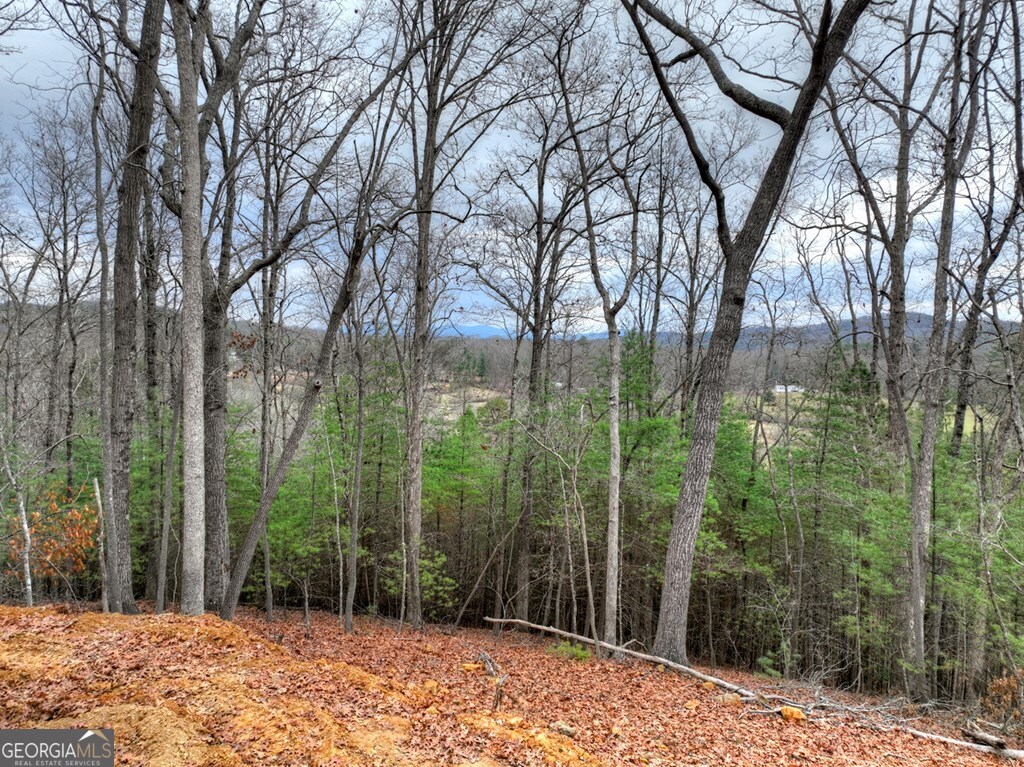 0 Sugar Creek Blue Ridge GA 30513