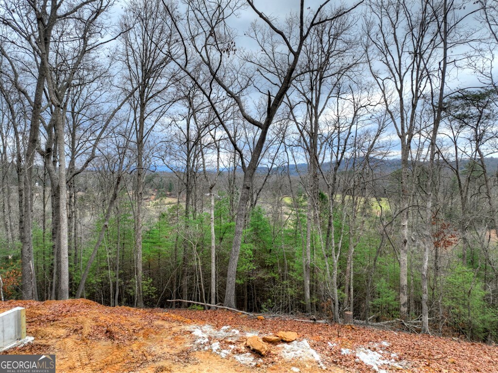 0 Sugar Creek Blue Ridge GA 30513