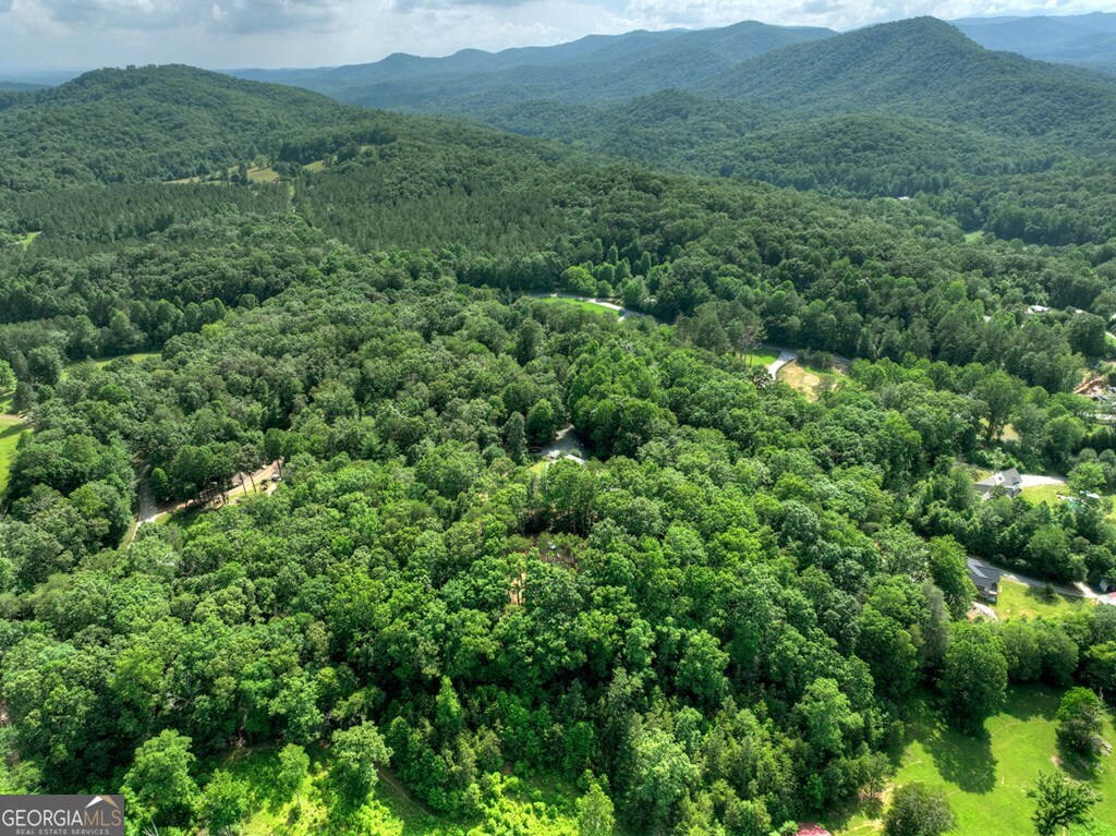 0 Sugar Creek Blue Ridge GA 30513