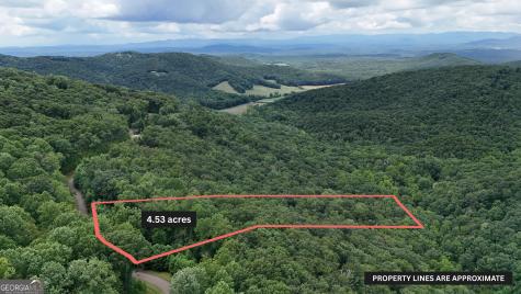 Lot 253 Stone Cliff Drive Ellijay GA 30536