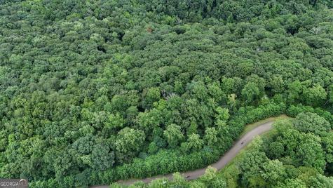 Lot 253 Stone Cliff Drive Ellijay GA 30536