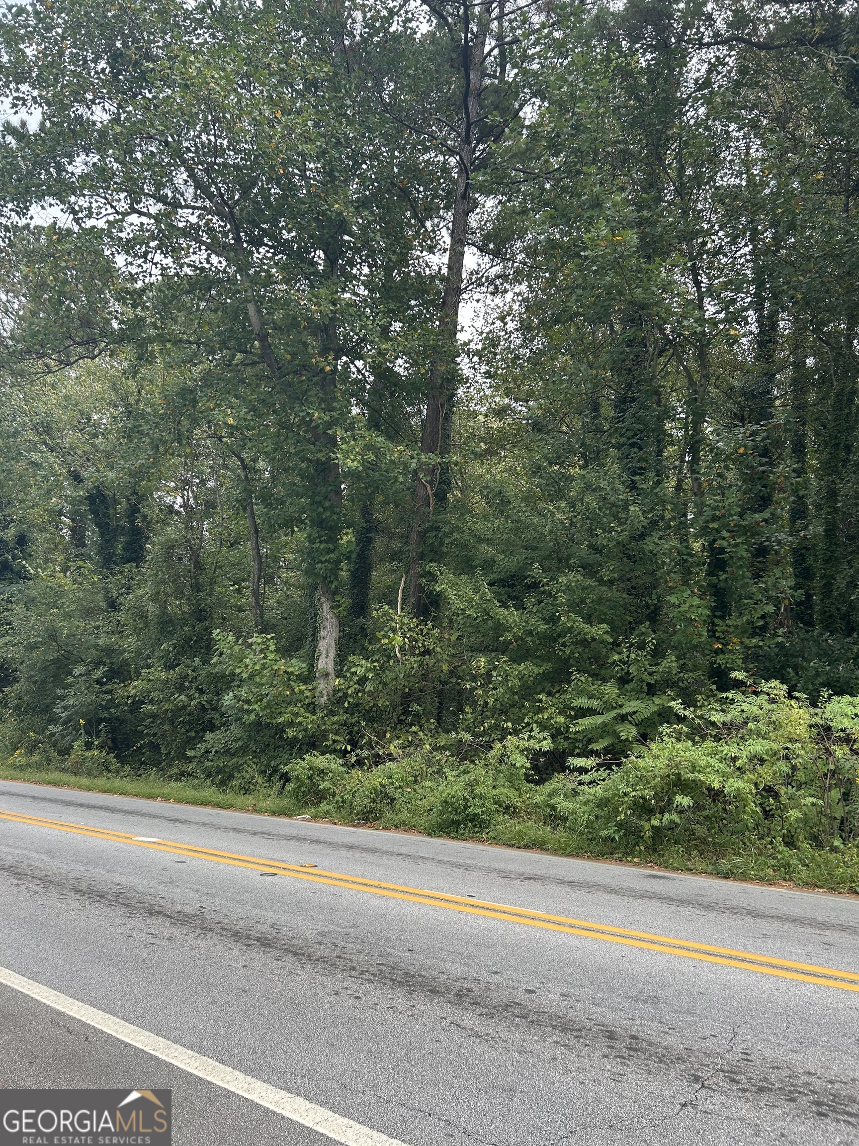 0 Anderson Terrace Snellville GA 30039