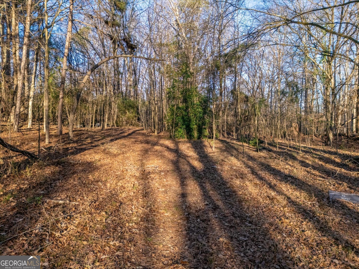 0 Jefferson River Road Athens GA 30607