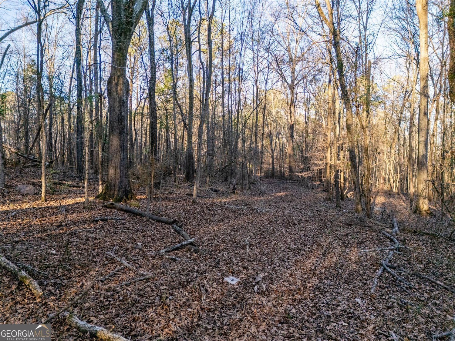 0 Jefferson River Road Athens GA 30607